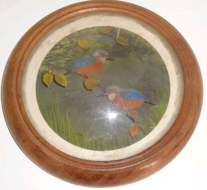 Kingfishers (5-inch)